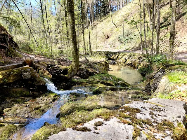 Vorbei an der Rumingmühle  | Foto: H.Bachinger