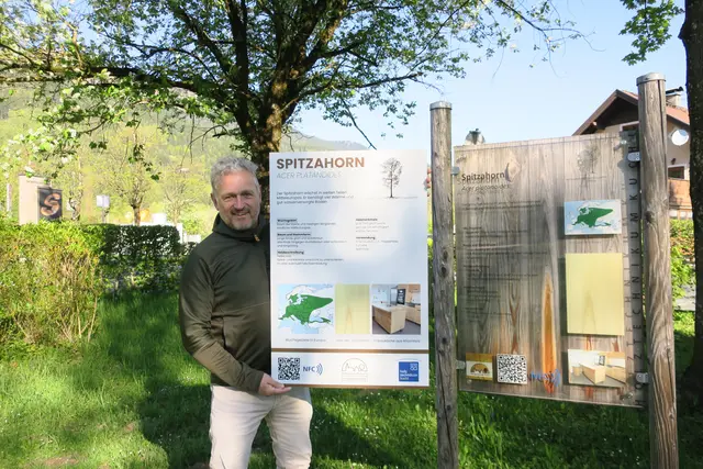 „Wir wollen zeigen, was hinter der Holzgemeinde steckt“