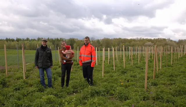 Für jedes Steyrer Baby wird im Stadtgut eine Forstpflanze gesetzt. So entsteht mit der Zeit ein artenreicher und klimafitter Wald. Im Bild (v. l.): Johannes Resch von der städtischen Liegenschaftsverwaltung, Vizebürgermeisterin Anna-Maria Demmelmayr mit ihrer im Vorjahr geborenen Tochter, für die ebenfalls hier ein Bäumchen gepflanzt worden ist, und der Leiter der städtischen Gärtnerei Stefan Ritt. | Foto: Magistrat Steyr | Presse