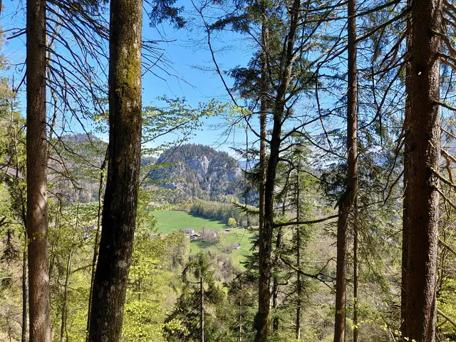 Plombergstein  | Foto: H.Bachinger