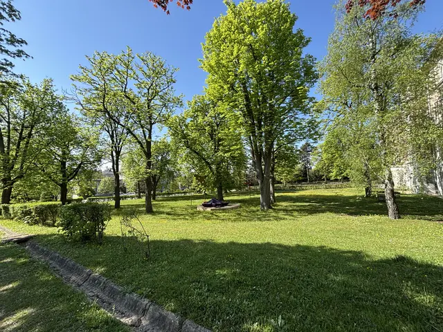Foto: Sade Jerabek/MeinBezirk