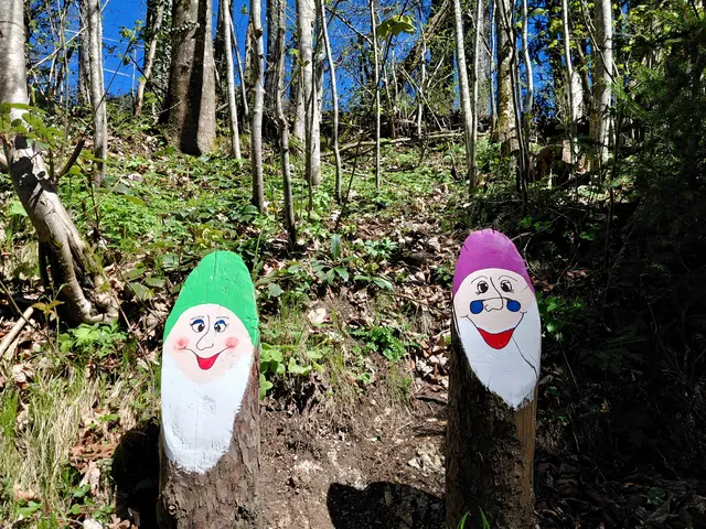 Am Zwergerlweg  | Foto: H.Bachinger