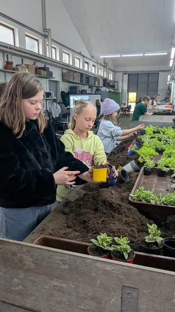Die Schülerinnen und Schüler durften selbst Pflanzen einsetzen und so hautnah erleben, welche Schritte notwendig sind, damit Pflanzen wachsen und gedeihen können.  | Foto: VS Leoben-Stadt