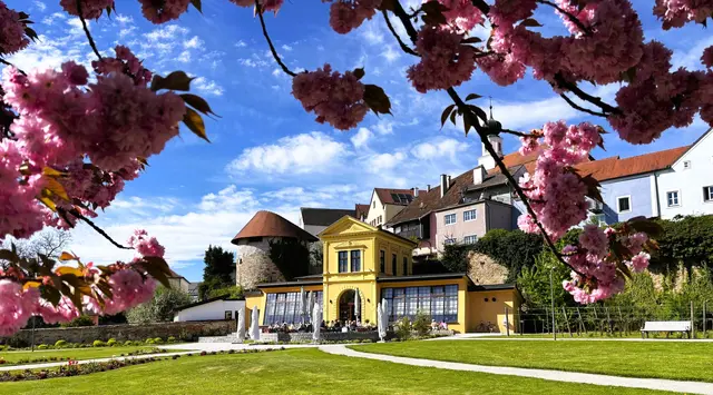Schärding blüht auf – auch ohne Gartenschau