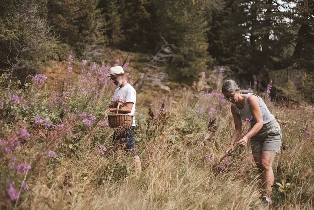 Die Qualität an Zeit, die sie in der Natur verbringen, ist besonders wertvoll. | Foto: Kräuterwerkstatt Kärnten