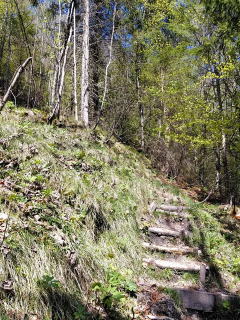 In steilen Serpentinen geht's über den Mozartsteig  | Foto: H.Bachinger