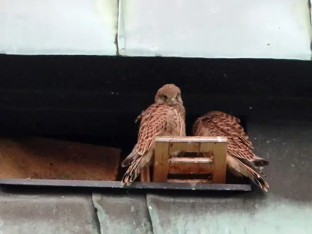 Wie ein historischer Turm zur 
