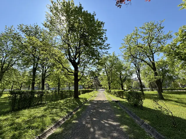 Foto: Sade Jerabek/MeinBezirk
