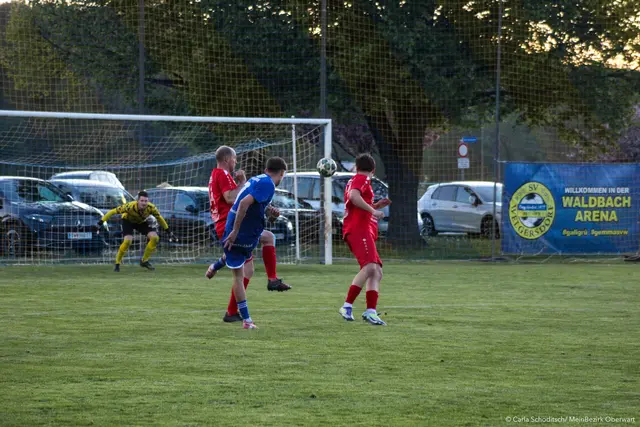 Foto: MeinBezirk/Carla Schoditsch