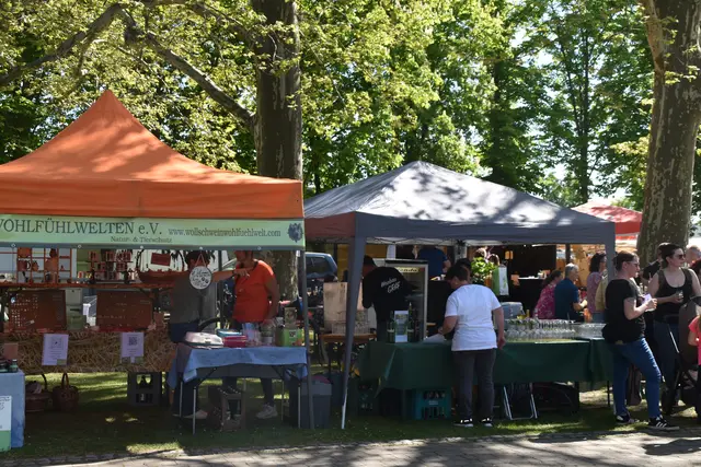 Foto: MeinBezirk/Michael Strini