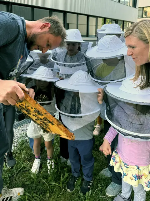 Bienenführung an der PH Tirol  
 | Foto: PH Tirol