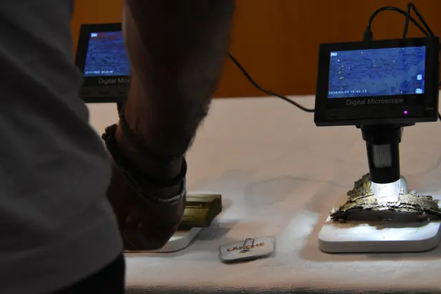 Foto: MeinBezirk/Helmut Riedl