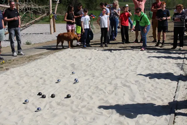 Foto: Helga Gößwellner