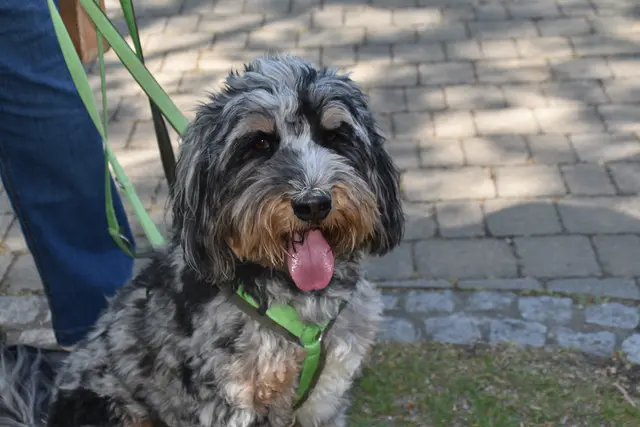 Foto: MeinBezirk/Michael Strini