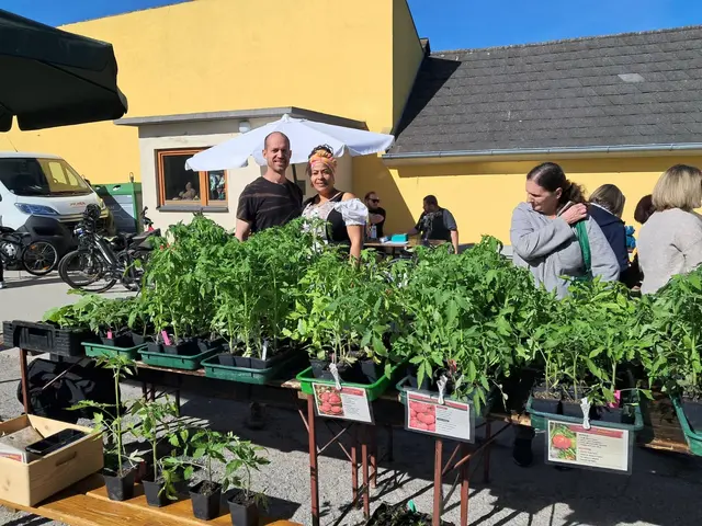 Casa Yanni mit selbstgezüchteten Jungpflanzen