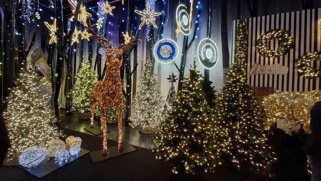 Besonders in der Weihnachtszeit sind die Lichtinstallationen von MK Illumination bekannt. | Foto: Delmarco