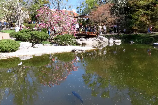 Im Frühling wie jetzt und im Herbst ist der Setagaya-Park ein Muss