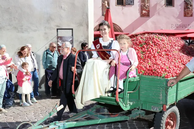 Radieschenfest 2026 begeistert mit Brauchtum und Genuss in Hall