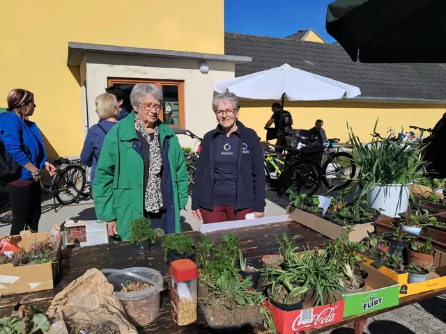 Josefa Schönberger und Grete Eidler betreuten den Pflanzentausch mit viel Expertise.