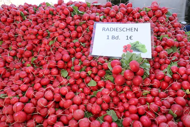 Foto: Kendlbacher