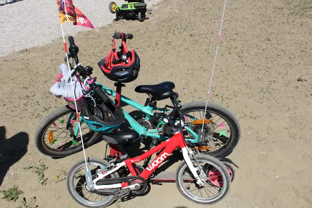 Foto: Helga Gößwellner