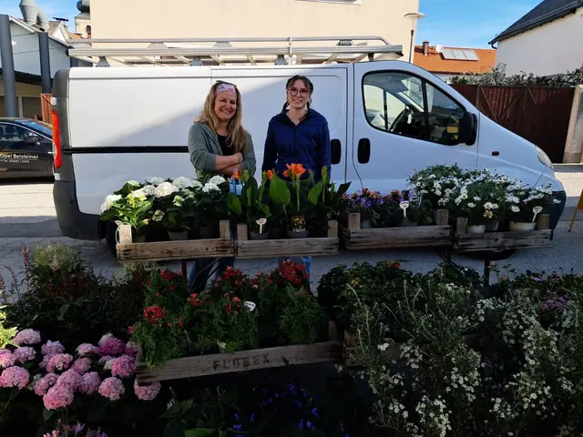Blumenladen Gänseblümchen aus Hochwolkersdorf