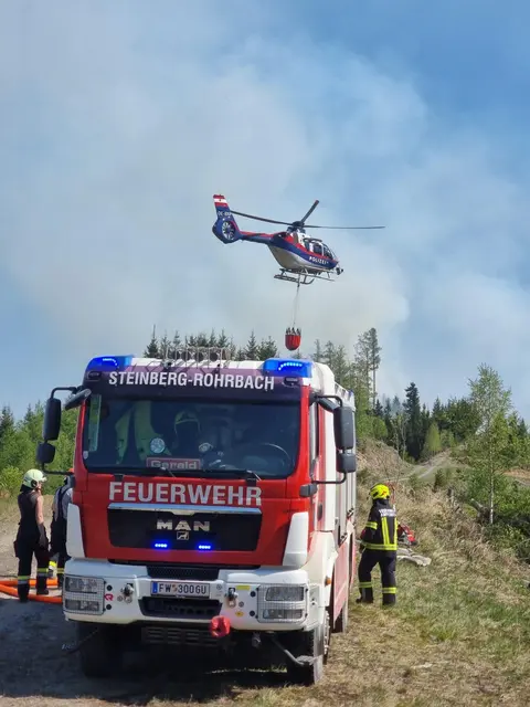 Zahlreiche Feuerwehren bekämpfen ausgedehnten Waldbrand