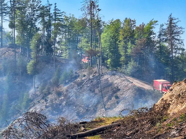 Am Mühlbachkogel ist ein Waldbrand ausgebrochen, der aktuell eine Fläche von rund 35 bis 40 Hektar umfasst. | Foto: Stadtfeuerwehr Weiz