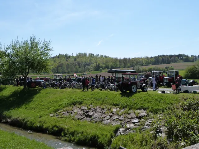 Foto: Vanessa Wittmann