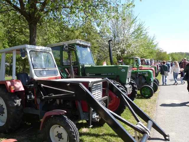 Foto: Vanessa Wittmann