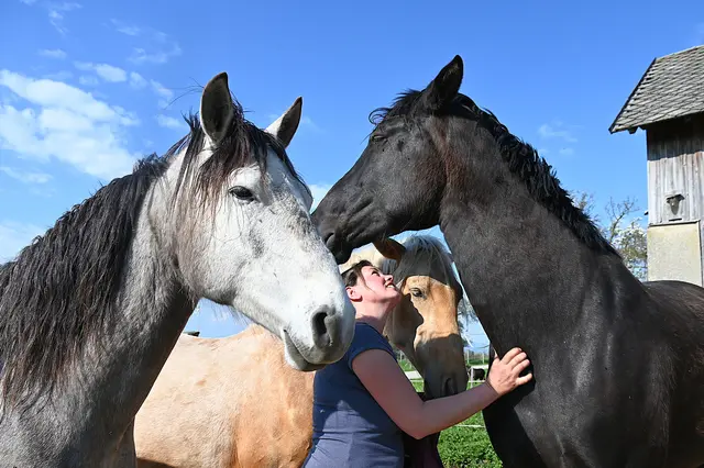 Susanne: Ich verfolge das Ziel, meinen Tieren Freiheit und Raum zu geben | Foto: Gerlinde Siebenhandl