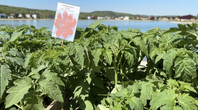 Foto: Elisabeth Kloiber/MeinBezirk