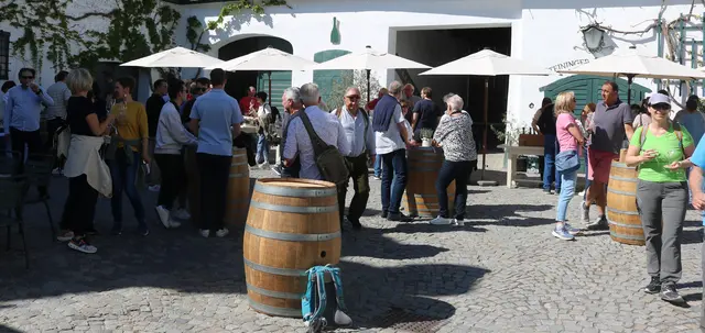 Wein-Tour zu fünf Weinchampions