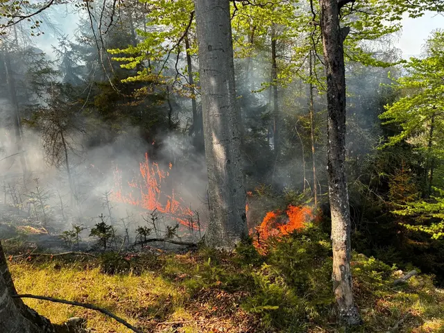 Das unwegsame Gelände und der starke Wind machen die Löscharbeiten zur Herausforderung. | Foto: BFVGU