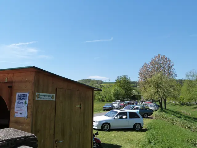 Foto: Vanessa Wittmann