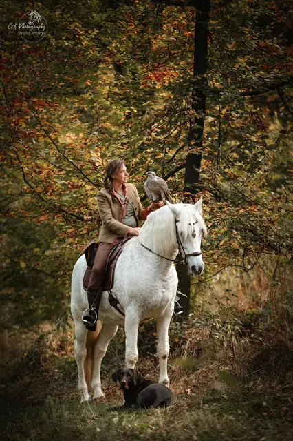 Falknerei als anspruchsvolle Disziplin: Pferd, Mensch, Hund und Falke im Einklang | Foto: Foto: Christina Amberger