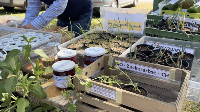 Foto: Elisabeth Kloiber/MeinBezirk