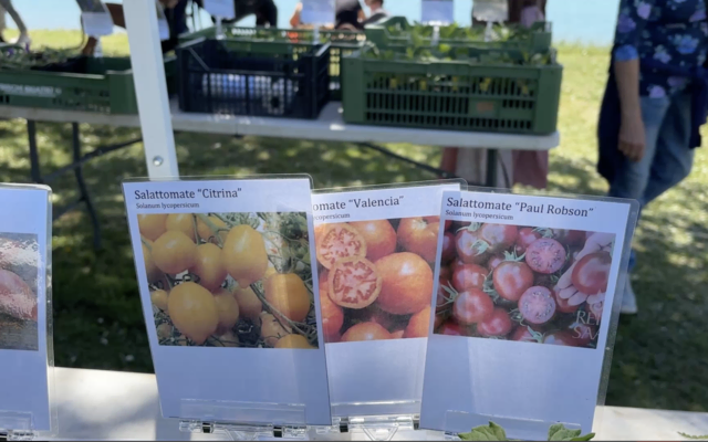 Foto: Elisabeth Kloiber/MeinBezirk