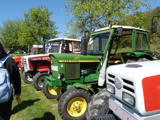 Foto: Vanessa Wittmann