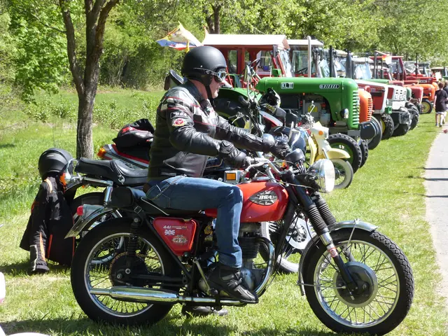 Foto: Vanessa Wittmann