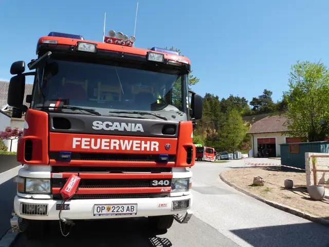 Foto: Vanessa Wittmann