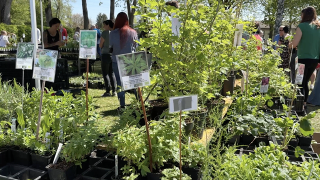 Foto: Elisabeth Kloiber/MeinBezirk