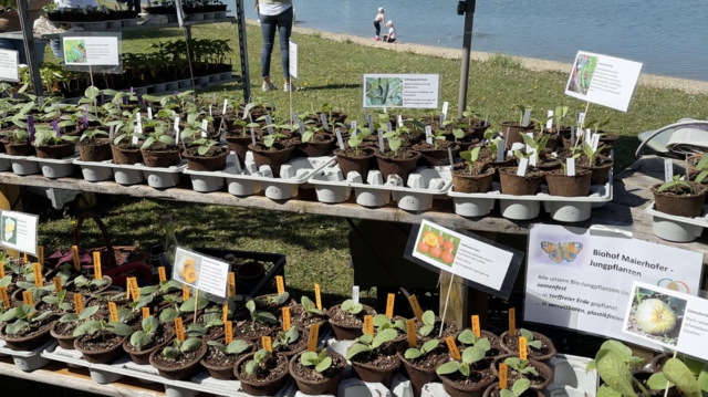 Foto: Elisabeth Kloiber/MeinBezirk