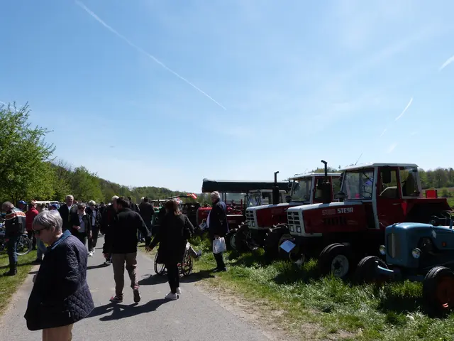 Foto: Vanessa Wittmann