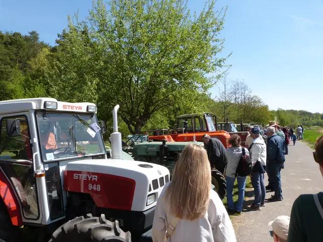 Foto: Vanessa Wittmann