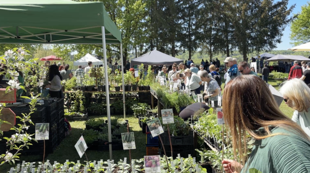 Foto: Elisabeth Kloiber/MeinBezirk