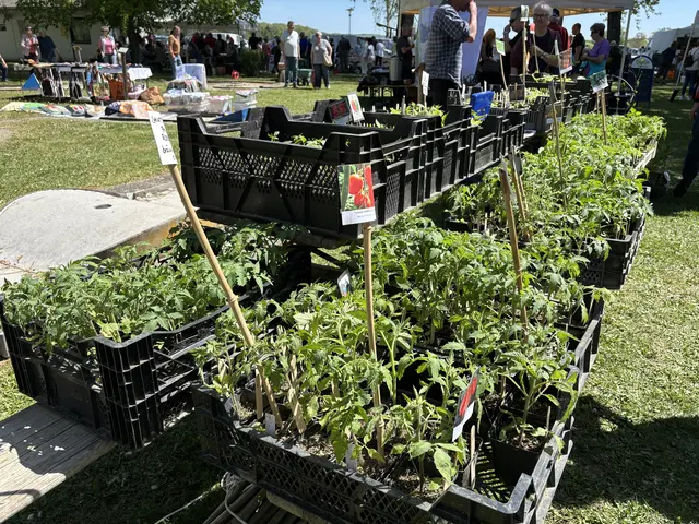 Foto: Elisabeth Kloiber/MeinBezirk