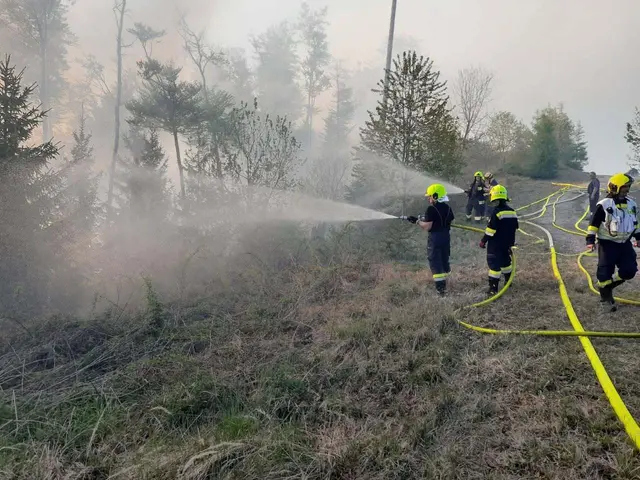 Waldbrandzug Voitsberg in Eisbach-Rein im Einsatz