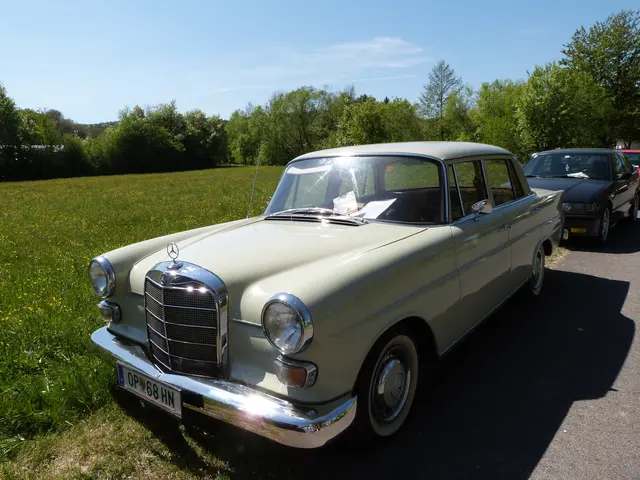 Foto: Vanessa Wittmann