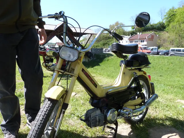 Foto: Vanessa Wittmann